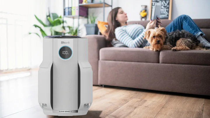 The shark air purifier in the lounge