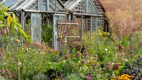 Make your garden flourish with our guide to companion planting