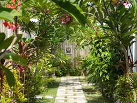 Low on outdoor space? Affordable tips to grow your dream garden, no matter your footprint