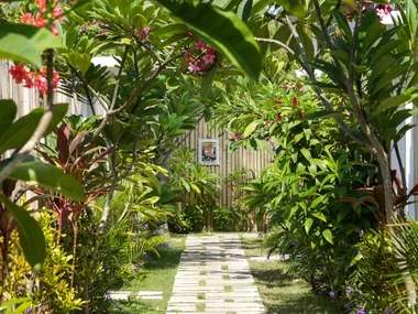 Low on outdoor space? Affordable tips to grow your dream garden, no matter your footprint