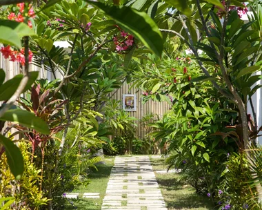 Low on outdoor space? Affordable tips to grow your dream garden, no matter your footprint