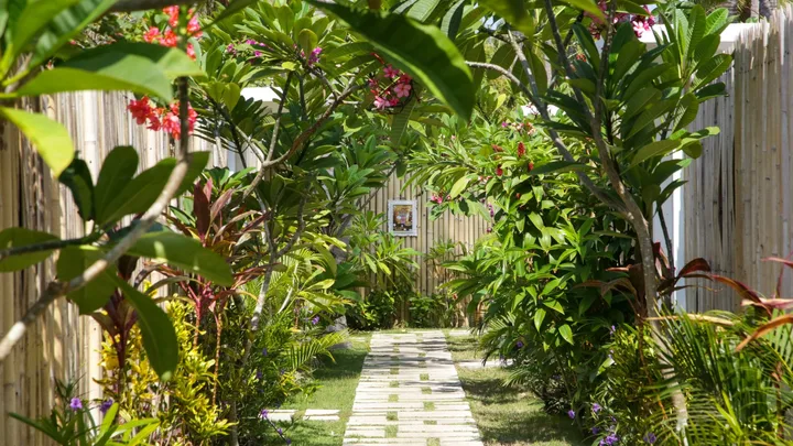 Low on outdoor space? Affordable tips to grow your dream garden, no matter your footprint