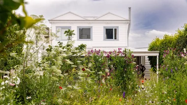 A hidden Ponsonby garden brimming with wildflowers and whimsy
