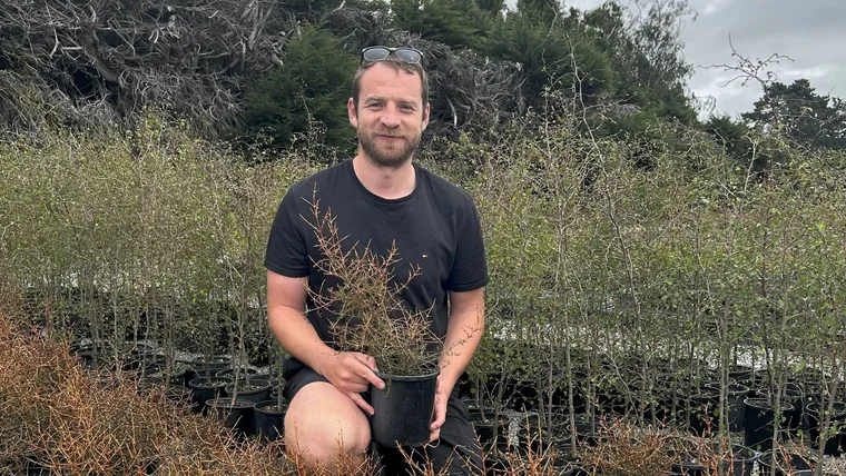 Jake Linklater, Young Horticulturist of the Year’s tips for growing native plants