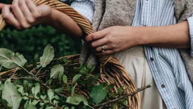 Gardening gifts for the green-thumbed