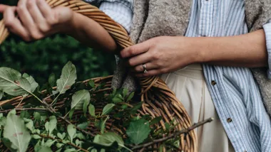 Gardening gifts for the green-thumbed