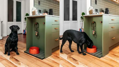 How to DIY a feeding station for your dog
