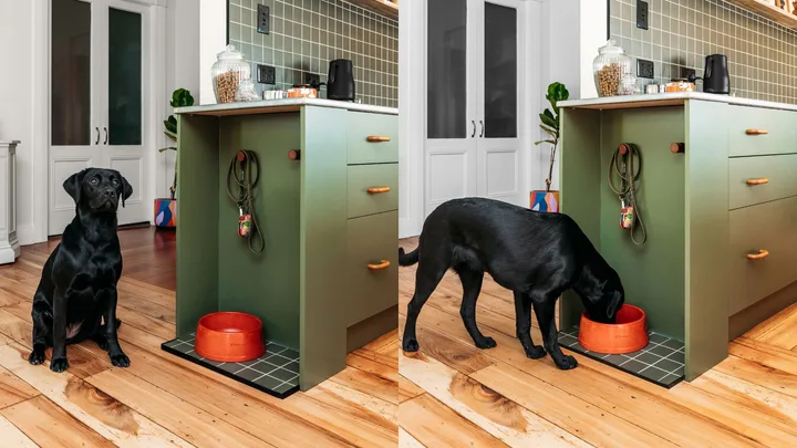 How to DIY a feeding station for your dog