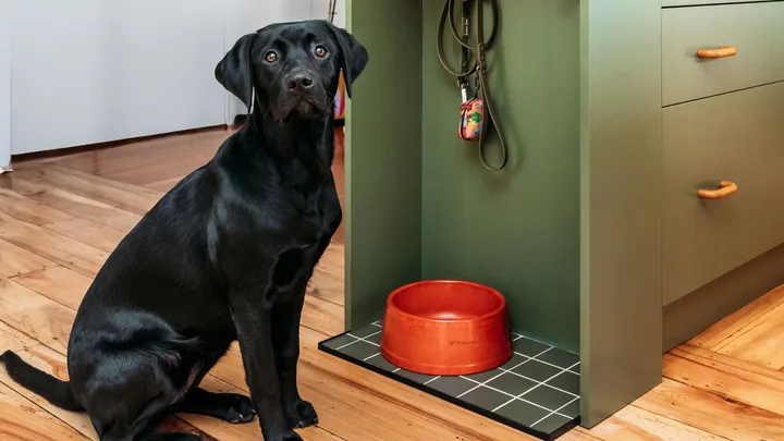 How to DIY a feeding station for your dog