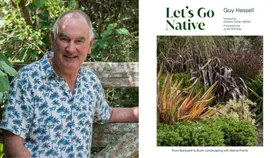Landscape designer Guy Hessell on growing native plants in New Zealand gardens