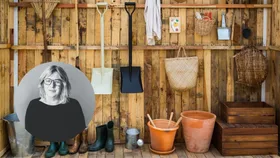 What to harvest, plant and sow in the garden during July in New Zealand