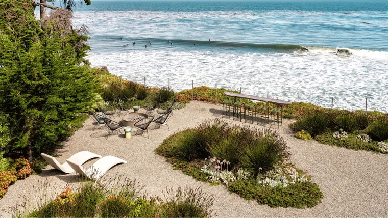 The art of the coastal garden: Beauty shaped by wind, waves and salt