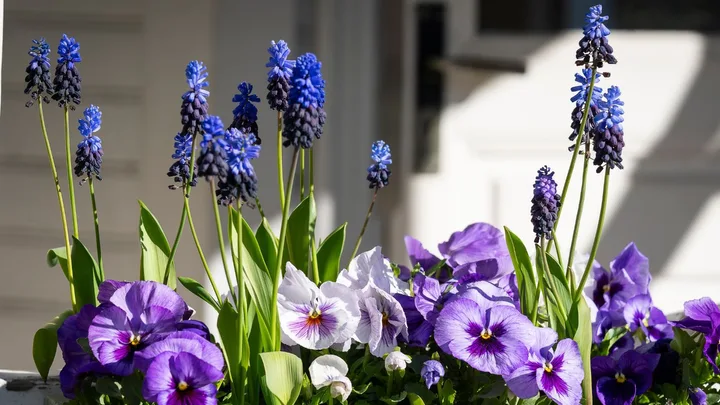 Your guide to creating beautiful floral displays