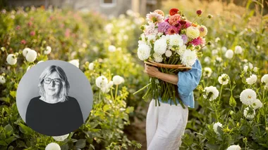 September gardening guide: Jobs to tackle and seeds to sow