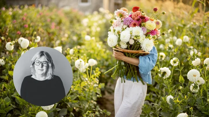 September gardening guide: Jobs to tackle and seeds to sow