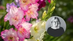 Your October gardening guide: How to adapt to rising temperatures