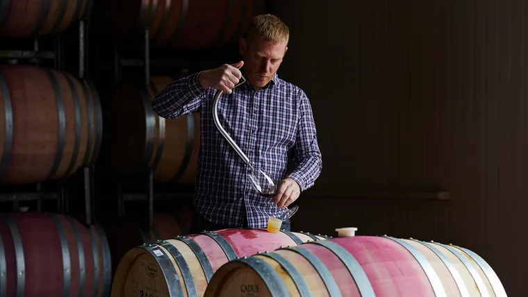 Tom Wallace barrel tasting at Devil's Corner, Tasmania