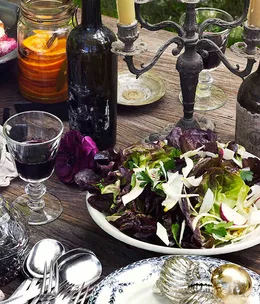 Red oak, fennel and radish salad with red wine vinaigrette