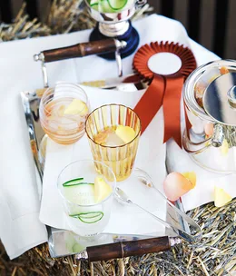 Gin and tonic with cucumber and rose