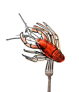 Christmas catch: summer seafood tips