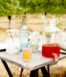 Rhubarb and Campari Spritzer