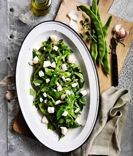 Roman beans, ricotta salata and oregano