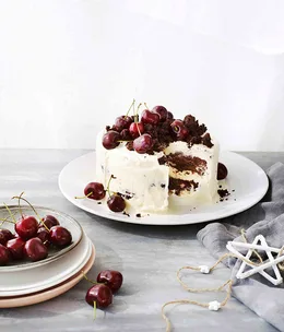 Chocolate cherry fudge and coconut ice-cream cake