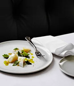 Raw scallop, juniper, lemon oil, sweet cicely