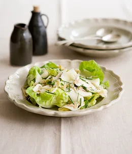 Shaved artichoke, butter lettuce and fontina salad