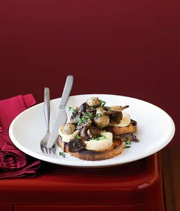 Mushroom and taleggio on bruschetta