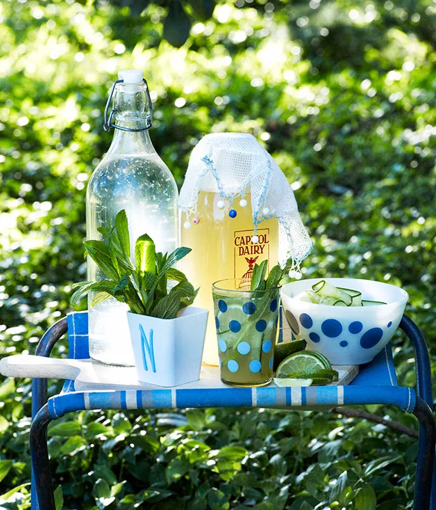 Ginger cordial with mint, lime and cucumber