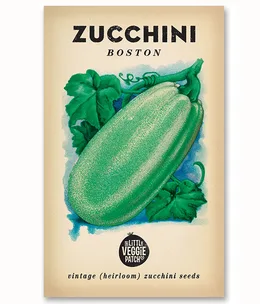 How to grow zucchini
