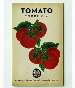 How to grow tomatoes