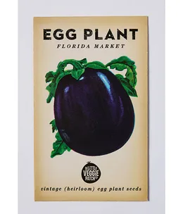 How to grow eggplant