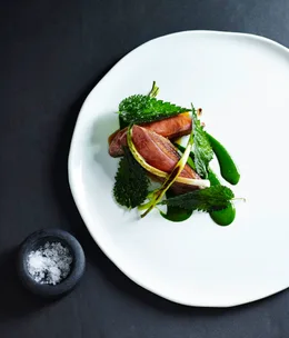 Slow-cooked duck breast with leeks and nettle sauce