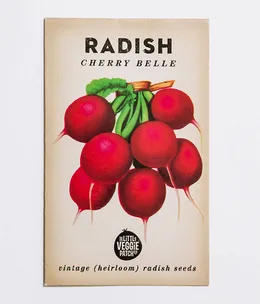 How to grow radishes