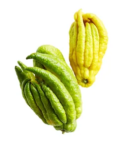 What is Buddha’s hand?