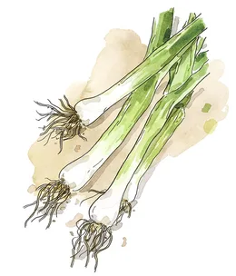 How to grow your own spring onions