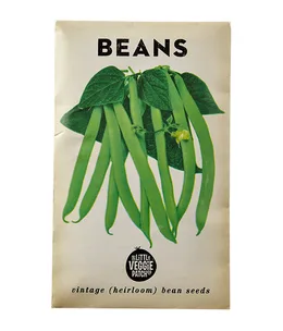 How to grow your own beans