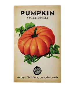 How to grow your own pumpkins