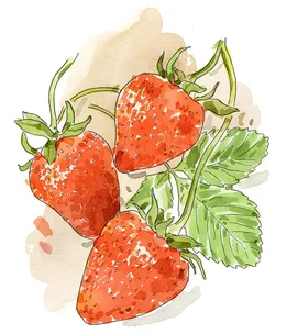 How to grow your own strawberries