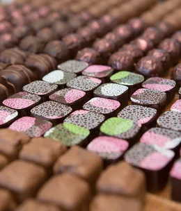 Just Bliss, Adelaide