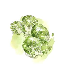 How to grow your own Brussels Sprouts