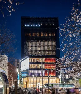 The Apollo’s guide to Ginza