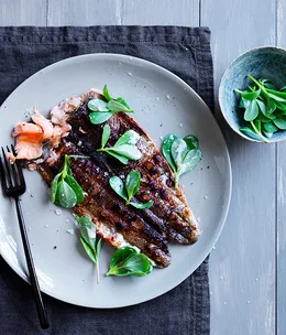 Rainbow trout, horseradish and purslane