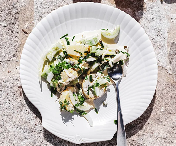 Potato salad with cucumber and burrata