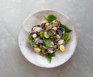 Review: is this the most anticipated northern NSW restaurant of 2019?