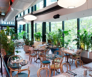 Green Moustache North Sydney