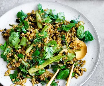 Finger fennel with farro and curry dressing