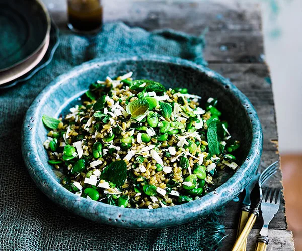 Farro with broad beans, ricotta salata, mint and lovage